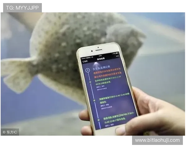 多宝电子官网安全登录技巧保障账号信息安全与个人隐私